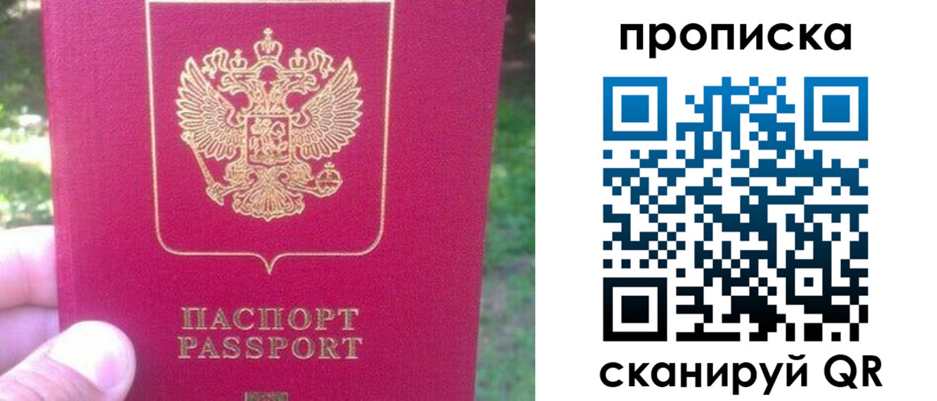 прописка законно в Чистополье